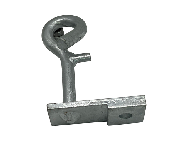 ذيل الخنزير