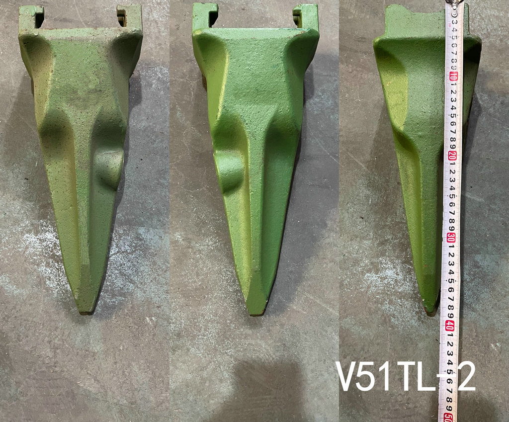 ما هي أسنان دلو؟