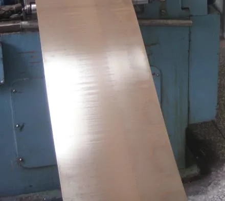 قضيب/سلك سبيكة النيكل في 100 (EMS55089)